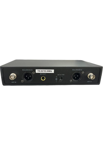 Profesyonel Audio WM602-33 Çift El Telsiz Mikrofon Sistemi