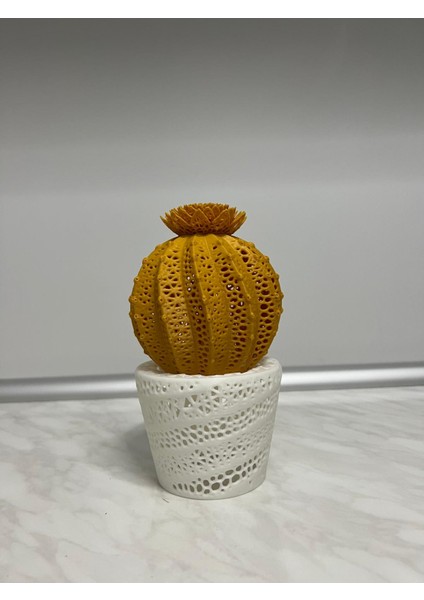 Kaktüs Gece Lambası Cactus Night Light - Iki Renkli