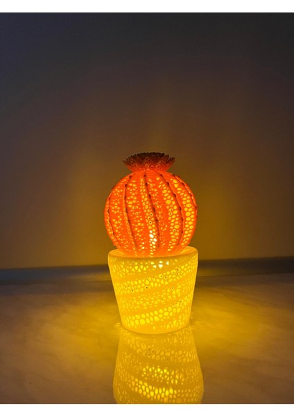 Kaktüs Gece Lambası Cactus Night Light - Iki Renkli