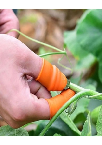 Pratik Baş Parmak Sebze Kesme Ayıklayıcı TURK-1277 indirimleri