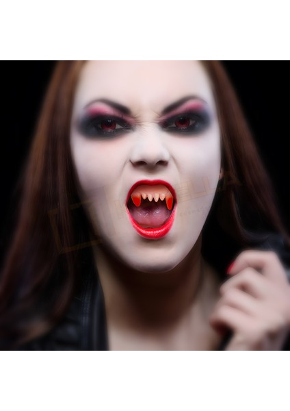 Halloween Vampir Dişi AST6672