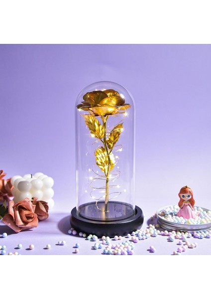 Işıklı Fanusta Sonsuzluk Gülü Anneler Günü Hediyesi