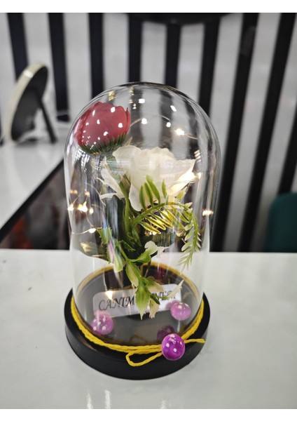 Anneler Özel Günü Fanus