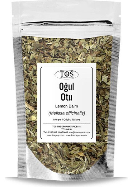 Oğul Otu 100 gr (1. Kalite) Anadolu Melisa Otu, Kokusuz