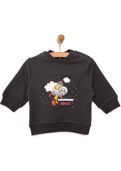Basic Az Şardonlu Aslan Desenli Sweatshirt Erkek Bebek