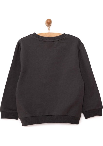 Basic Az Şardonlu Aslan Desenli Sweatshirt Erkek Bebek
