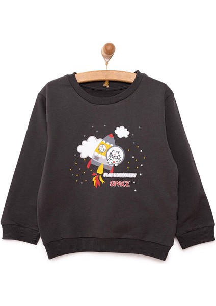 Basic Az Şardonlu Aslan Desenli Sweatshirt Erkek Bebek