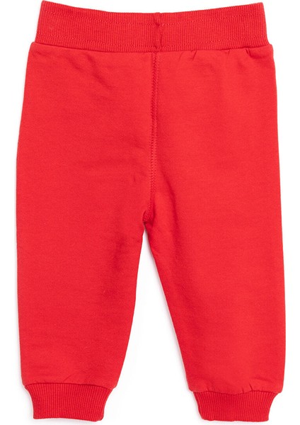 HelloBaby Basic Az Şardonlu Eşofman Alt Erkek Bebek fiyatları