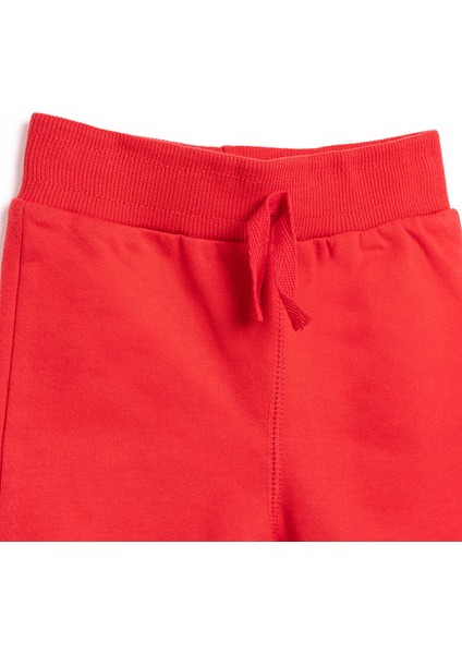 HelloBaby Basic Az Şardonlu Eşofman Alt Erkek Bebek modelleri