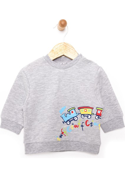 Basic Az Şardonlu Aslan Desenli Sweatshirt Erkek Bebek