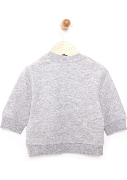 Basic Az Şardonlu Aslan Desenli Sweatshirt Erkek Bebek