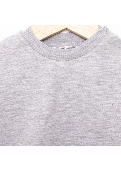 Basic Az Şardonlu Aslan Desenli Sweatshirt Erkek Bebek