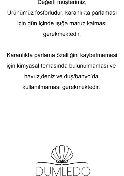 İkizler Burcu Karanlıkta Parlayan Charm | 925 Ayar Gümüş modelleri