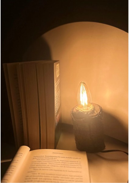 Ahşap Kütük Doğal Modern Masa Lambası El Yapımı 10-Cm