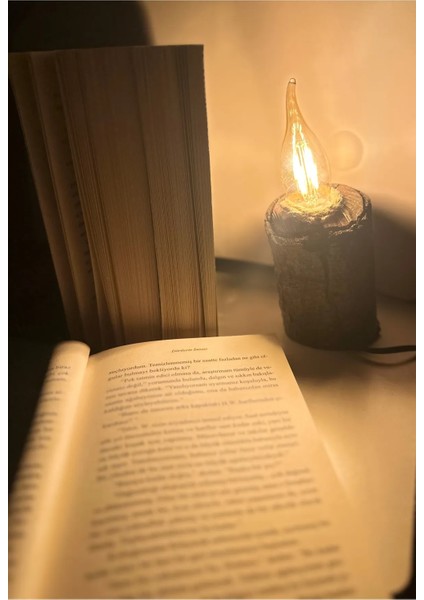 Ahşap Kütük Doğal Modern Masa Lambası El Yapımı 10-Cm