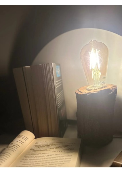 Ahşap Kütük Doğal Modern Masa Lambası El Yapımı 15-Cm