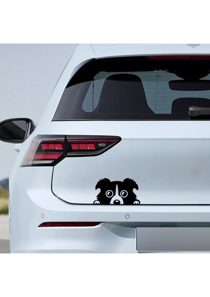 Bagajdan Bakan Köpek Sticker Model 1 - Oto Sticker - Araba Sticker - Araç Sticker