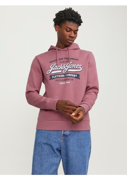 Jjelogo Hood 2 Col 23/24 Erkek Sweat