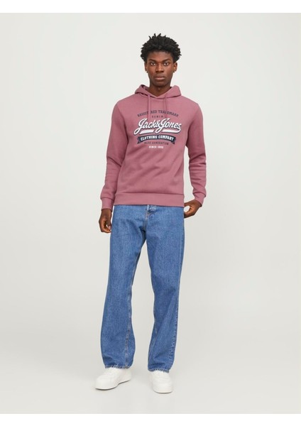 Jjelogo Hood 2 Col 23/24 Erkek Sweat fiyatları