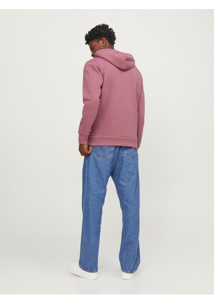 Jjelogo Hood 2 Col 23/24 Erkek Sweat modelleri