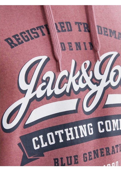 Jjelogo Hood 2 Col 23/24 Erkek Sweat fırsatları