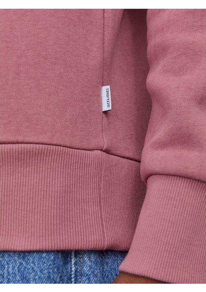 Jjelogo Hood 2 Col 23/24 Erkek Sweat indirimleri