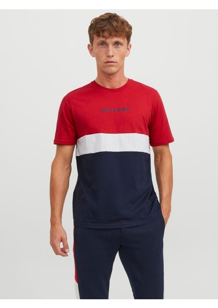 Jjereıd Blockıng Ss Erkek T-Shırt fiyatları