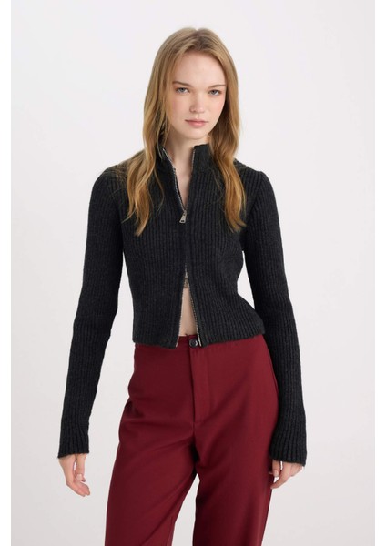 Slim Fit Dar Kesim Yarım Balıkçı Yaka Triko Hırka A5607AX24WN modelleri