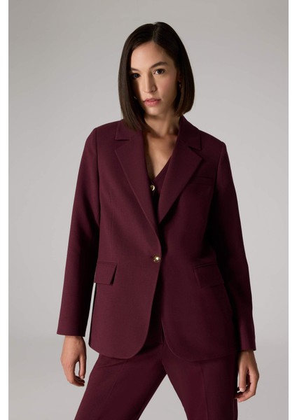 X Sorbe Regular Fit Ceket Yaka Düğmeli Blazer Ceket D9924AX24AU fırsatları
