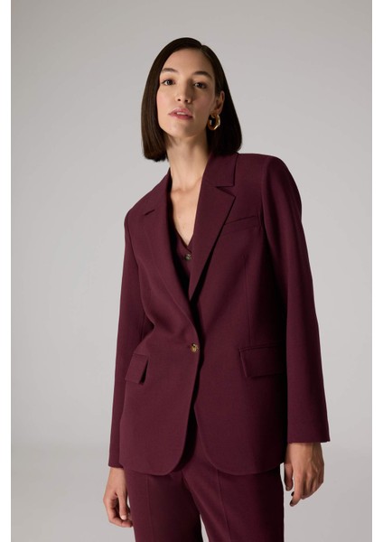 X Sorbe Regular Fit Ceket Yaka Düğmeli Blazer Ceket D9924AX24AU indirimleri