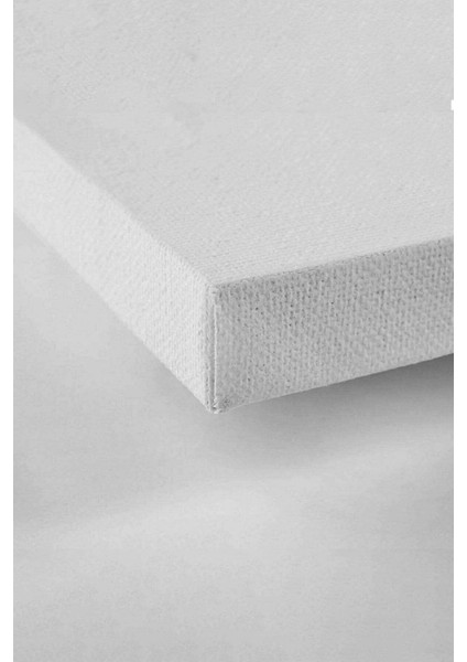 Soyut Dikenli Teller Ve Özgürlük Hd Baskı Kanvas Tablo fiyatları