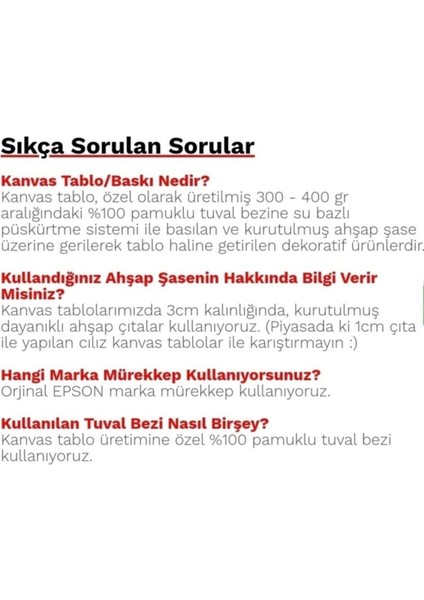 Dekoratif At Hd Baskı Kanvas Tablo