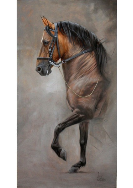 |Şık At Tablosu 37 |Çerçevesiz Hd Baskı Kanvas Tablo fiyatları