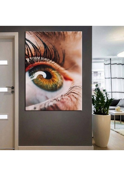 Göz Hastanesi, Göz Sağlığı Merkezi Tabloları 11