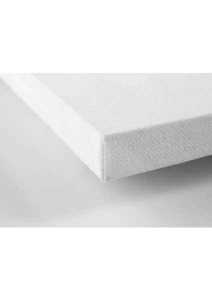 Deniz Kenarında Çiçekler Arasında Şirin Pembe Vosvos Hd Kalite Hd Baskı Kanvas Tablo fiyatları