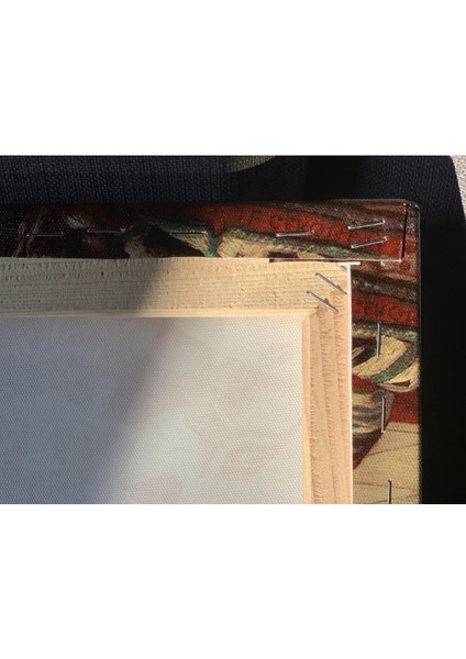 Dekoratif Tablonuz Dekoratif Modern Şık Çiçek Hd Baskı Kanvas Tablo E34 modelleri