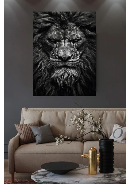 Asil,Kızgın Aslan Lion Yakın Çekim Hd Kalite Hd Baskı Kanvas Tablo
