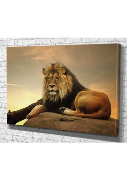 Aslan Hd Baskı Kanvas Tablo