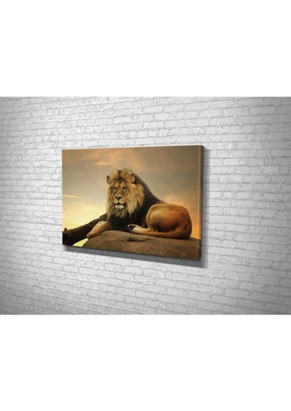 Aslan Hd Baskı Kanvas Tablo fiyatları