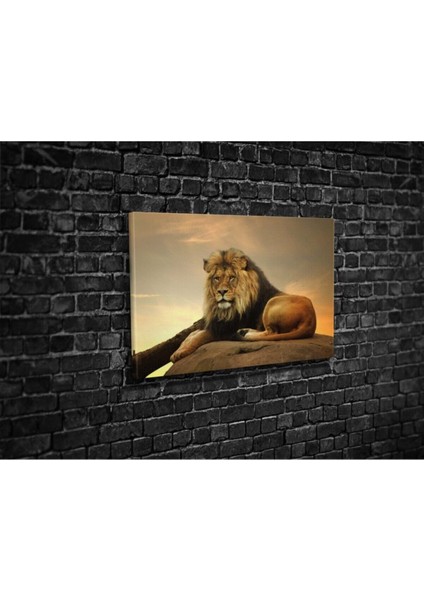 Aslan Hd Baskı Kanvas Tablo modelleri