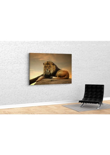 Aslan Hd Baskı Kanvas Tablo fırsatları