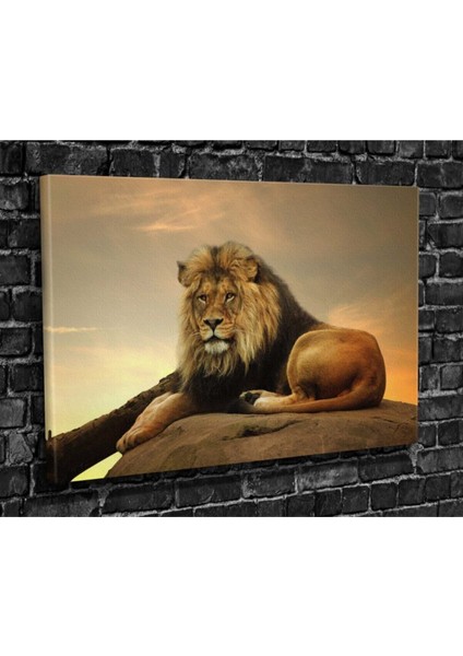 Aslan Hd Baskı Kanvas Tablo indirimleri
