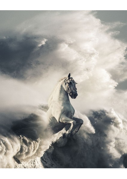 |Şık At Tablosu 23 |Çerçevesiz Hd Baskı Kanvas Tablo fiyatları