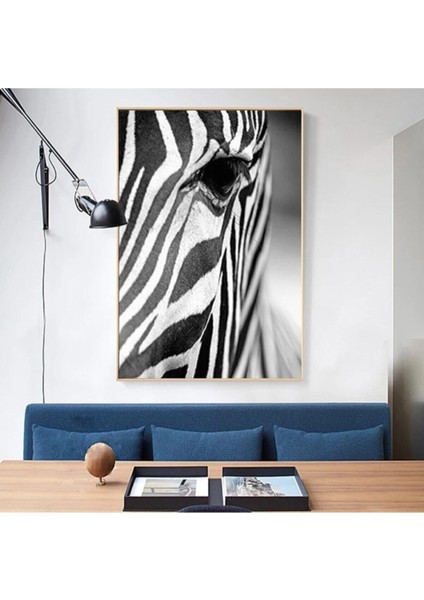 Dekoratif Zebra Hd Baskı Kanvas Tablo