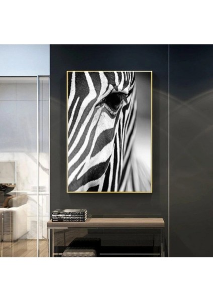 Dekoratif Zebra Hd Baskı Kanvas Tablo