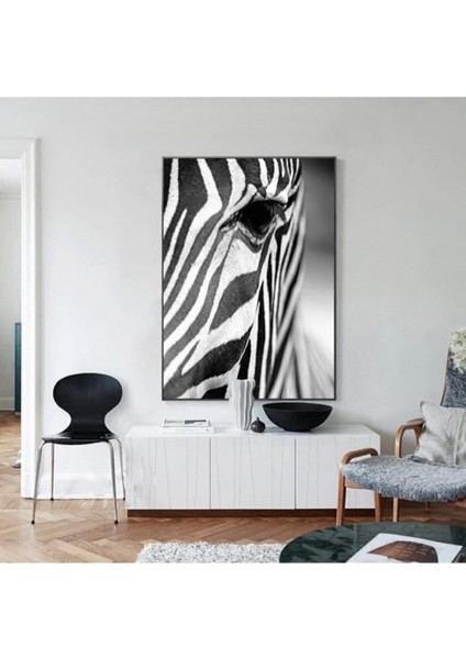 Dekoratif Zebra Hd Baskı Kanvas Tablo