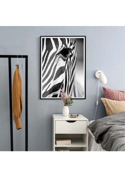 Dekoratif Zebra Hd Baskı Kanvas Tablo