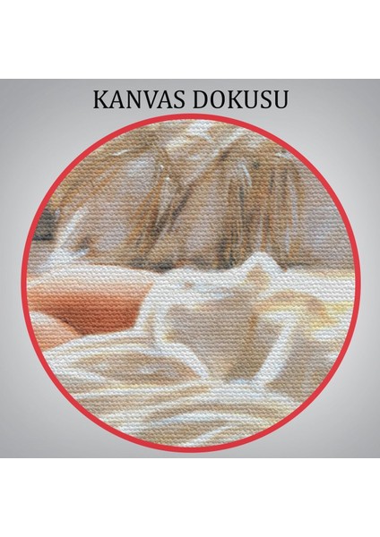 Yataktaki Güzel Kadın Dekoratif Duvar Tablosu-6607 fırsatları