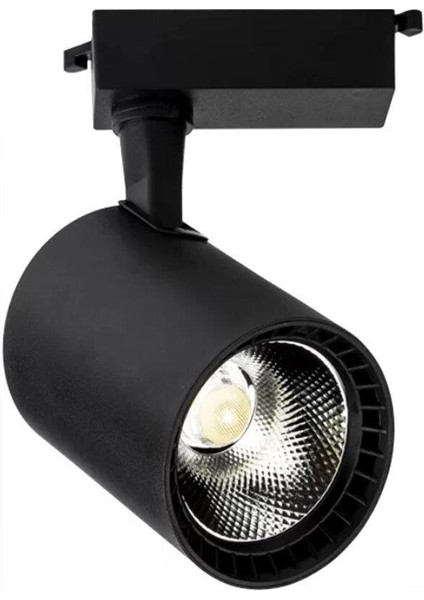 Ray Spot Armatür Paris Siyah Kasa 3200K 30W