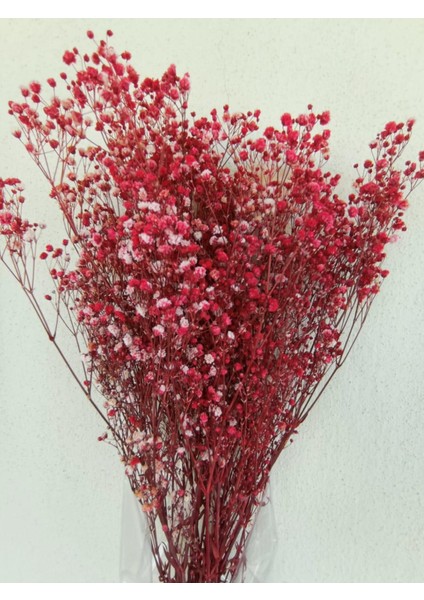 Esse Bahçe Şoklu Cipso 50 gr Demet